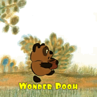 Wonder Pooh